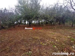 LOC DE CASA CU PANORAMA SUPERBA - imagine 5