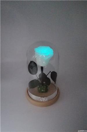 Trandafiri Criogenati BiaRose in cupola mica de sticla 25cm - imagine 8