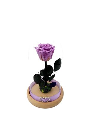 Trandafiri Criogenati BiaRose in cupola mica de sticla 25cm - imagine 7