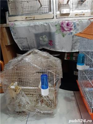 vând voliere colivii canari 503 - imagine 6