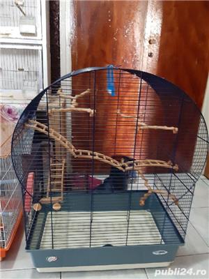 vând voliere colivii canari 503 - imagine 4