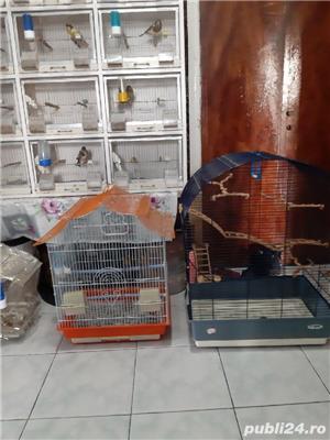 vând voliere colivii canari 503 - imagine 2