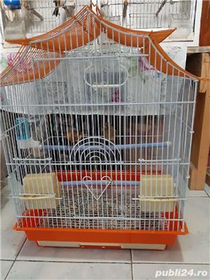 vând voliere colivii canari 503 - imagine 5