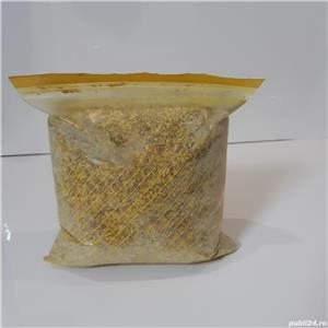 Polen crud din stupina proprie 