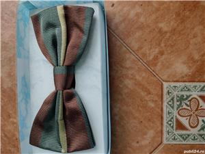 Papion Saint George Milano Italia original