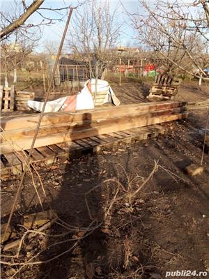  Comloșu Mare jud.Timiș 12 Grinzi nefolosite 13 cm   13 cm     7 m lungime  bucata ,190 Ron bucata 