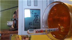 Tuica prune maturata, an 2016