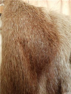 Haina de blana de nutrie naturala pentru femei - imagine 3