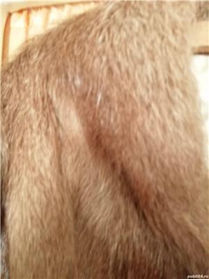 Haina de blana de nutrie naturala pentru femei - imagine 9