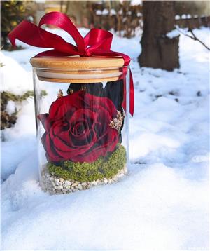 Trandafiri criogenati !  - imagine 2