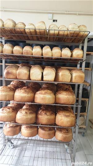Afacere brutarie,patiserie - imagine 5