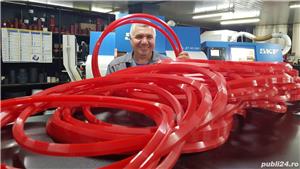 Garnituri hidraulice  - imagine 8