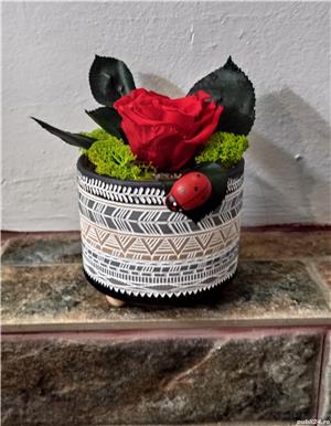 Trandafir criogenat !