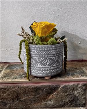 Trandafir criogenat  - imagine 4