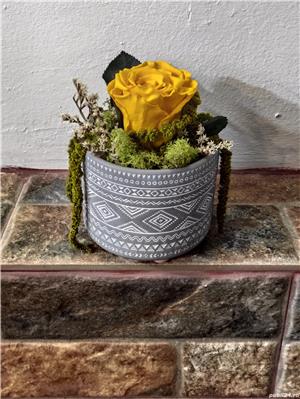 Trandafir criogenat  - imagine 3