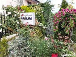 Kinetoterapie, masaj, acupunctura coreeana, fizioterapie, psihoterapie,inchiriez- Tadlife Timisoara - imagine 3