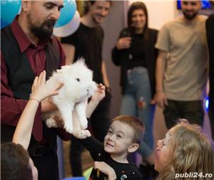 Magician Craiova * - imagine 4