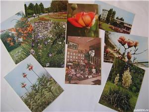 Cărti postale vintage Grădina botanică Iasi