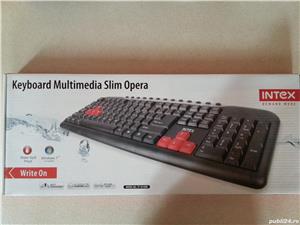 Tastaturi si mouse-uri 