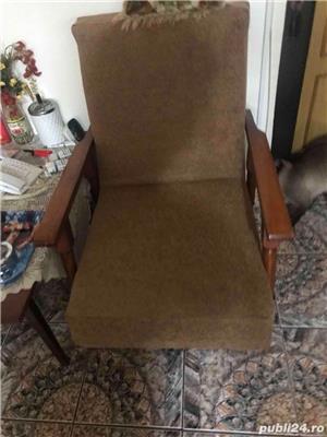 Tapiter baia sprie - imagine 8