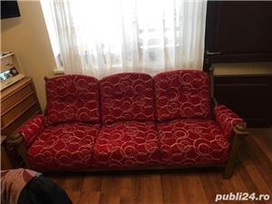 Tapiter baia sprie - imagine 4