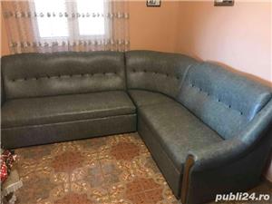 Tapiter baia sprie - imagine 3