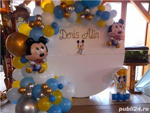 Decoruri din Baloane  - imagine 10