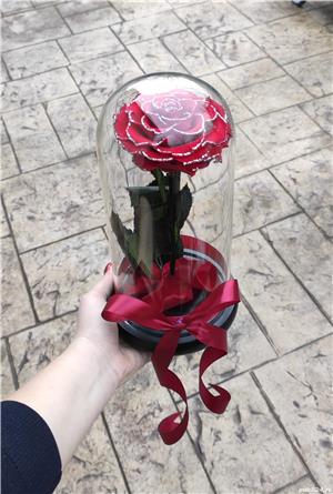 Trandafir criogenat ! 