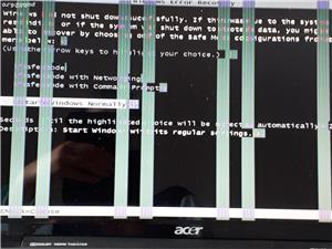 Ecran / Display  Laptop Acer 5738ZG