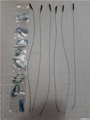 Dandinete si mormuste - imagine 3