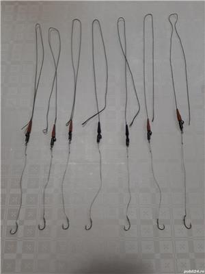 Dandinete si mormuste - imagine 4