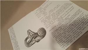 Meditatii Biologie BAC si Admitere la Medicina - imagine 6