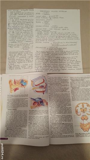 Meditatii Biologie BAC si Admitere la Medicina - imagine 5