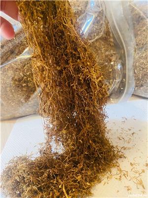 T.utun calitate extra