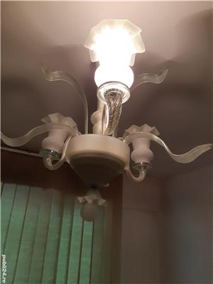 lustra lucrata manual - imagine 2