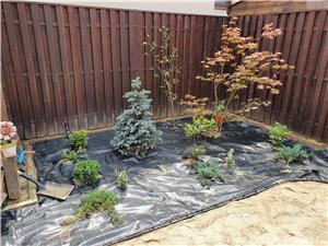 Pamant negru vegetal si pamant pentru gazon Timisoara Dumbravita Giarmata Giarmata Vii Covaci - imagine 5