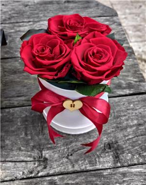 Trandafir criogenat !