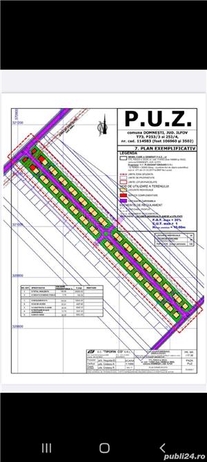 teren intravilan lotizat,Domnesti,Teghes,20.000mp,deschidere45m - imagine 4