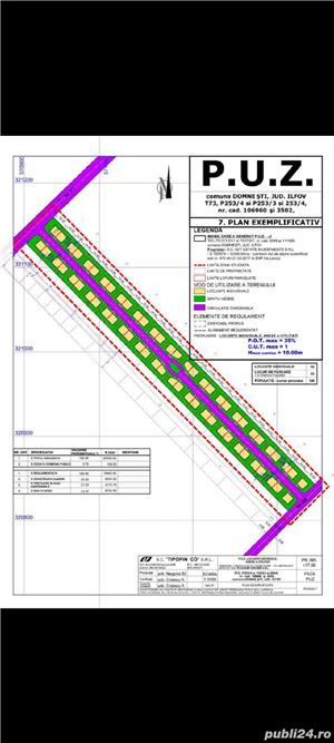 teren intravilan lotizat,Domnesti,Teghes,20.000mp,deschidere45m - imagine 2