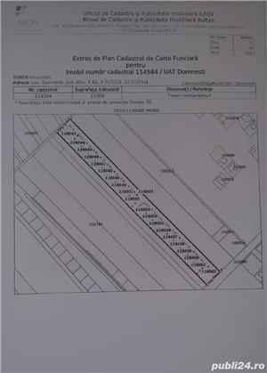 teren intravilan lotizat,Domnesti,Teghes,13.309mp,deschidere 24m - imagine 4