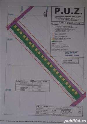 teren intravilan lotizat,Domnesti,Teghes,13.309mp,deschidere 24m - imagine 5