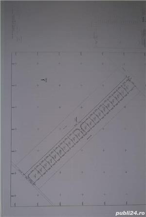 teren intravilan lotizat,Domnesti,Teghes,13.309mp,deschidere 24m - imagine 2