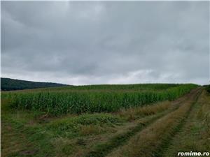 Vand 58 arii teren agricol între Tg.Mures si Reghin - imagine 3