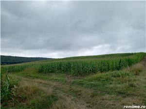 Vand 58 arii teren agricol între Tg.Mures si Reghin - imagine 4