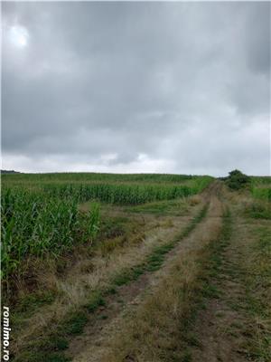 Vand 58 arii teren agricol între Tg.Mures si Reghin - imagine 2