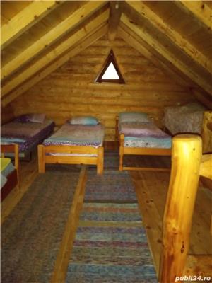  cabana de inchiriat lac mujdeni - imagine 5