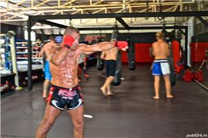 Evolution Mixed Martial Arts & Combat Fitness Cluj