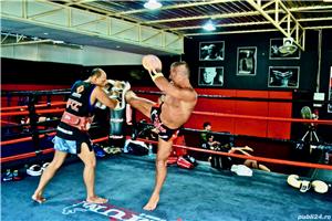 Evolution Mixed Martial Arts & Combat Fitness Cluj - imagine 7