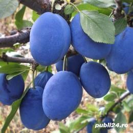 Vând țuică de prune