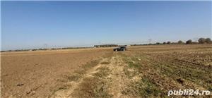 Teren extravilan Frumușani - imagine 3